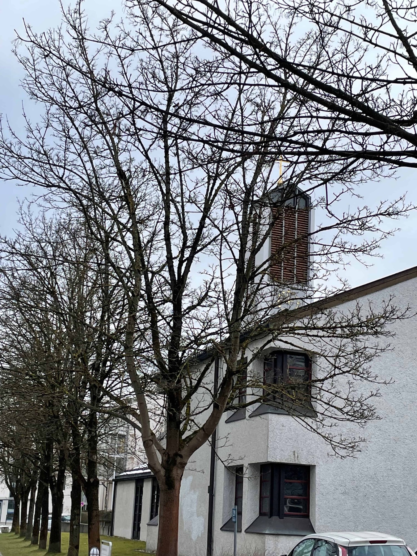 Die Kirche mit ihrem schmalen Backsteinturm hinter kahlen Bäumen an einem grauen Januartag